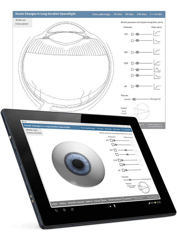 Eye Interactive
