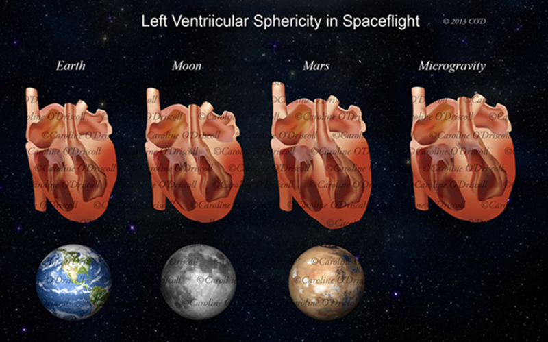 Space Heart